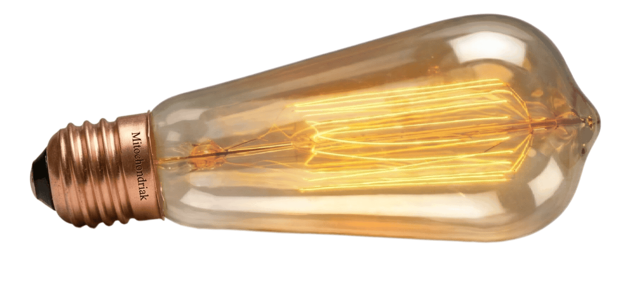 Parametre inkandescentnej žiarovky Mitochondriak